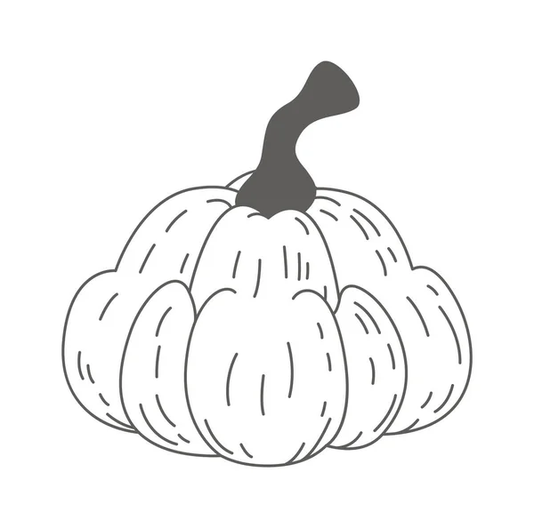 Linear Pumpkin Vegetable Vector Illustration — 스톡 벡터