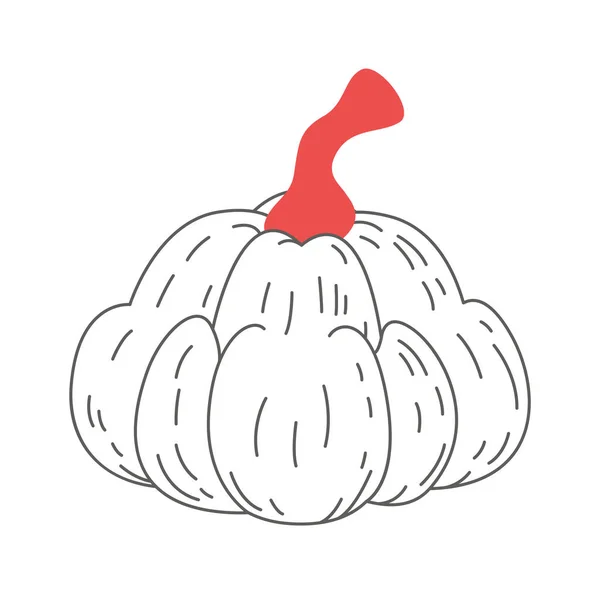 Pumpkin Vegetable Decorated Vector Illustration — Stock Vector