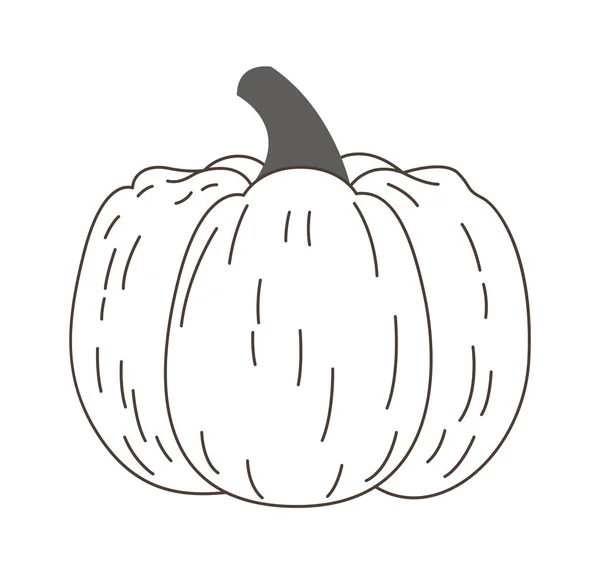 Linear Pumpkin Vegetable Vector Illustration — 스톡 벡터