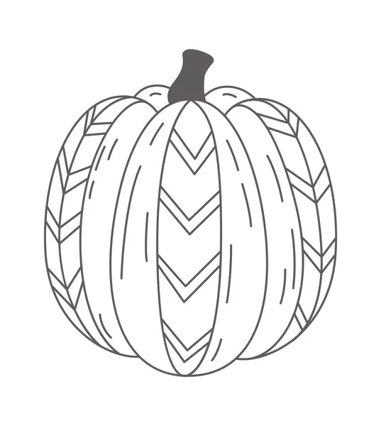Linear Decorative Pumpkin Vector Illustration — 스톡 벡터