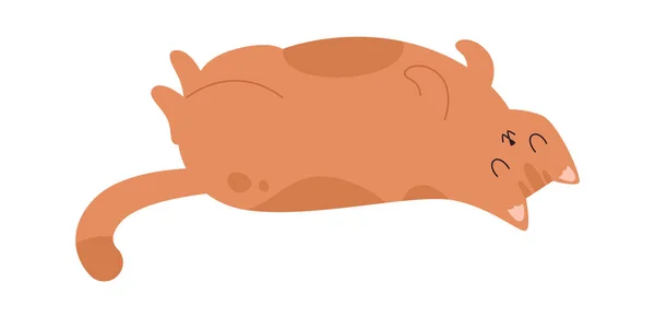Ilustração Vetor Animal Estimação Gato Adormecido —  Vetores de Stock