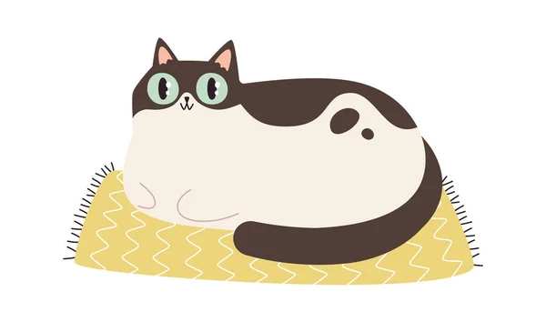 Cat Lying Mat Vector Illustration — Stock Vector