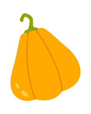 Olgun Balkabağı Sebze Vektör İllüstrasyonu