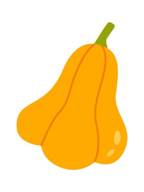 Olgun Balkabağı Sebze Vektör İllüstrasyonu