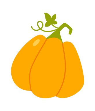 Olgun Balkabağı Sebze Vektör İllüstrasyonu