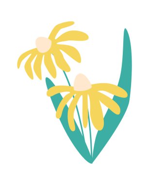 Papatya Çiçeği Buket Vektörü İllüstrasyonu