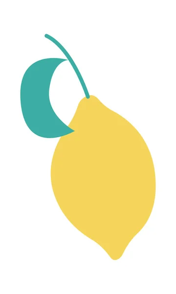 Lemon Citrus Fruit Vector Illustration — стоковий вектор