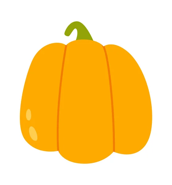 Ripe Pumpkin Vegetable Vector Illustration — 스톡 벡터