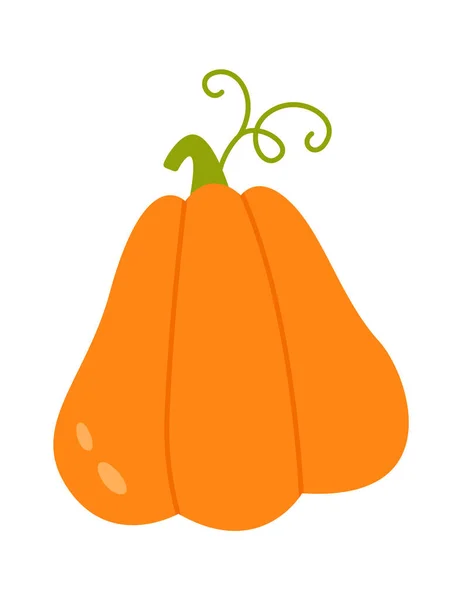 Ripe Pumpkin Vegetable Vector Illustration — 스톡 벡터