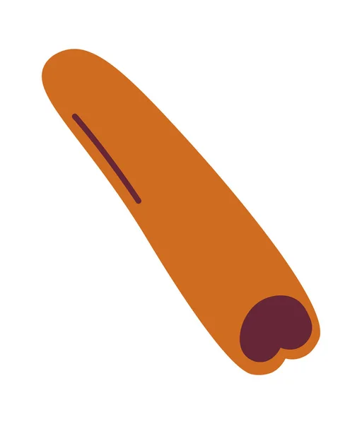 Cinnamon Stick Spice Vector Illustration — Stock Vector