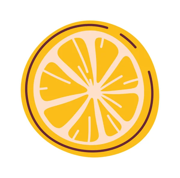 Limone Frutta Fetta Vettore Illustrazione — Vettoriale Stock