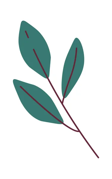枝の葉ベクター イラスト — ストックベクタ