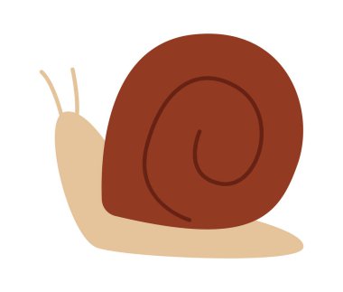 Salyangoz Böceği Simgesi Vektör İllüstrasyonu