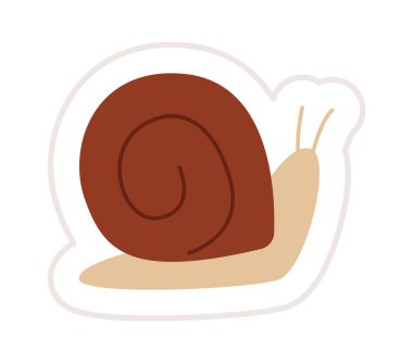 Salyangoz Böceği Etiketi Vektör İllüstrasyonu