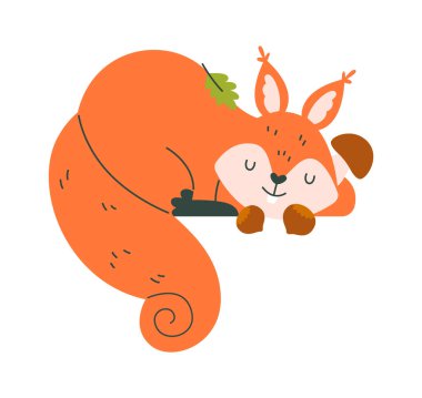 Uyuyan Sincap Hayvan Vektörü İllüstrasyonu