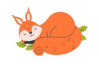 Uyuyan Sincap Hayvan Vektörü İllüstrasyonu