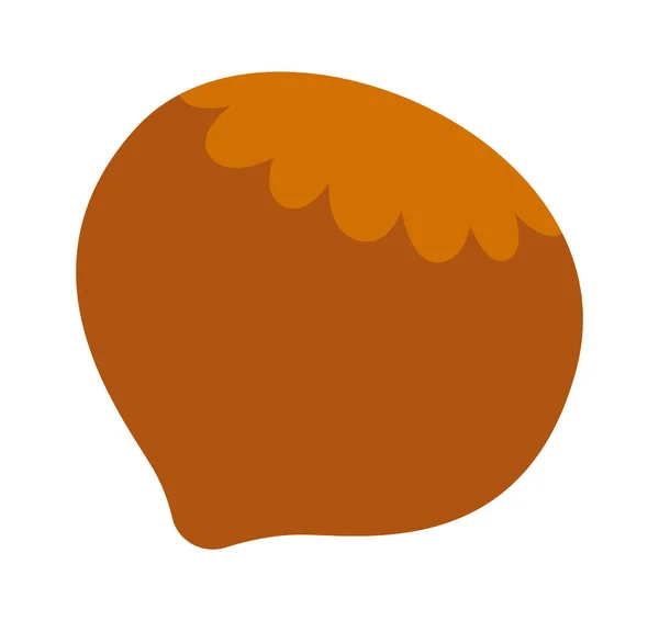 Hazelnut Nut Icon Vector Illustration — Stock Vector
