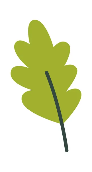 Oak Leaf Icon Vector Illustration — Stock Vector