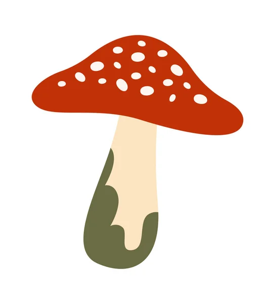 Mosca Agaric Mushroom Vector Ilustración — Archivo Imágenes Vectoriales