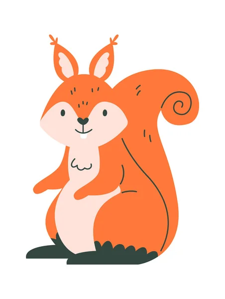 Sentado Esquilo Animal Vector Ilustração —  Vetores de Stock
