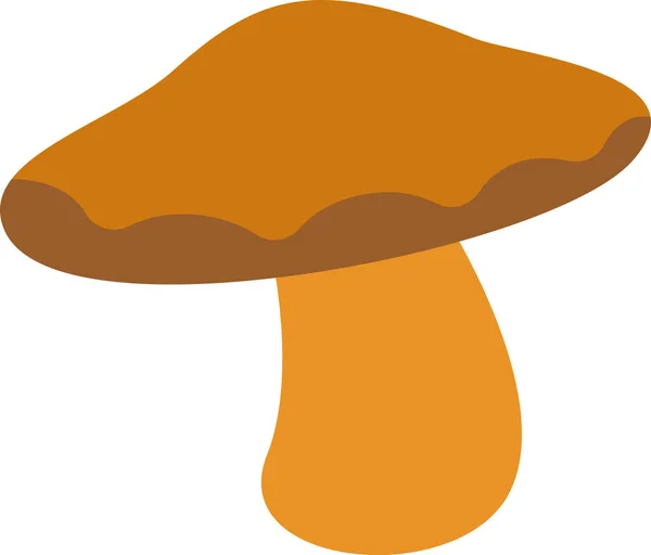 Brown Cap Boletus Mushroom Vector Illustration — Stock Vector