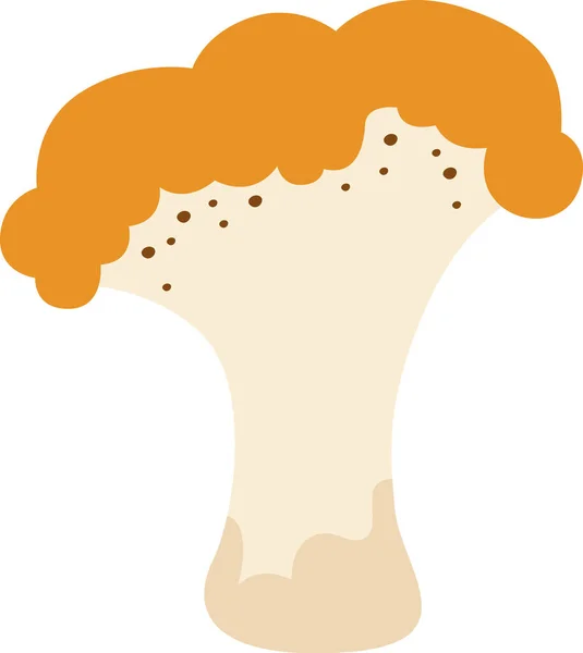 Chanterelle Mushroom Plant Vector Ilustração — Vetor de Stock