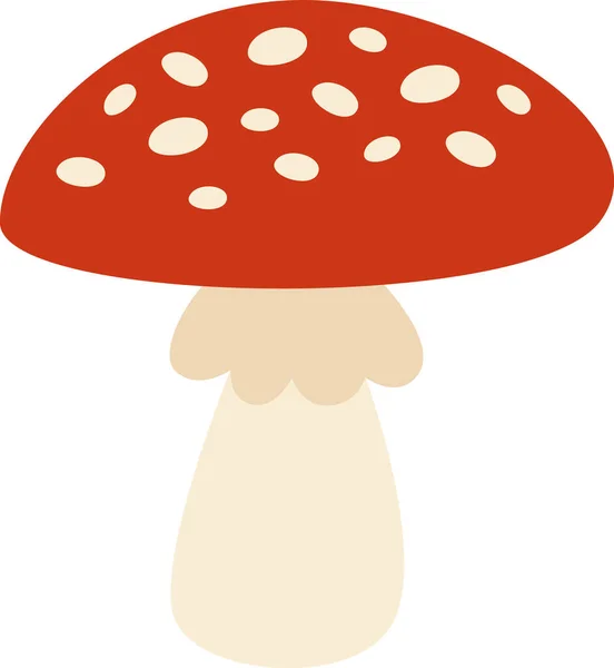 Fly Agaric Mushroom Vetor Ilustração — Vetor de Stock
