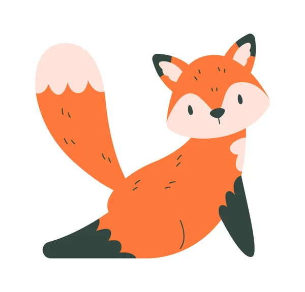 Het Rekken Van Fox Animal Vector Illustratie — Stockvector