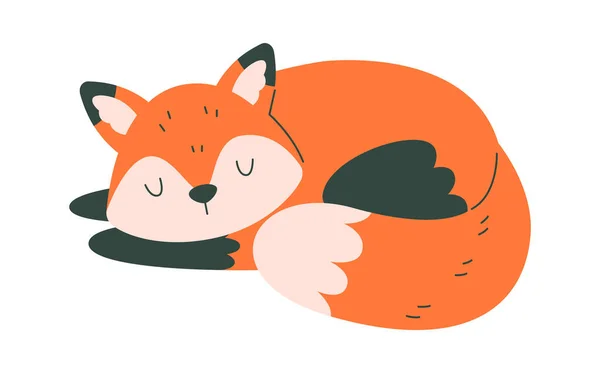 Sleeping Fox Animal Vector Illustration — Stock Vector