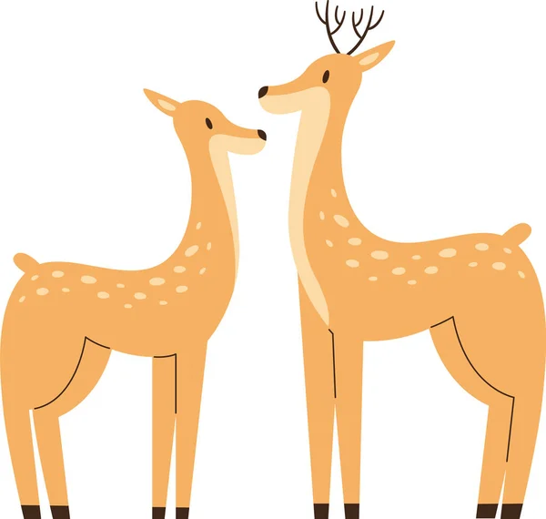 Hirsche Paar Tiere Vektor Illustration — Stockvektor