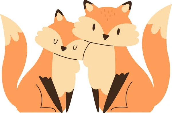 Foxes Couple Animal Vector Illustration — Stock Vector