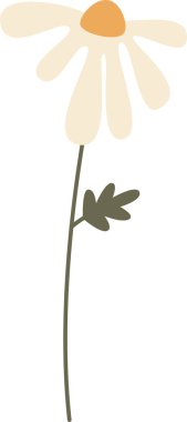 Kök Vektör Resimlerinde Papatya Çiçeği