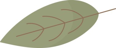 Çiçek Yaprak Simgesi Vektör İllüstrasyonu