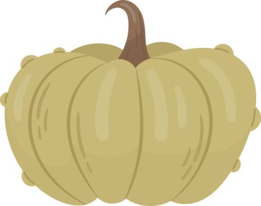 Balkabağı Sebze Olgun Vektör İllüstrasyonu