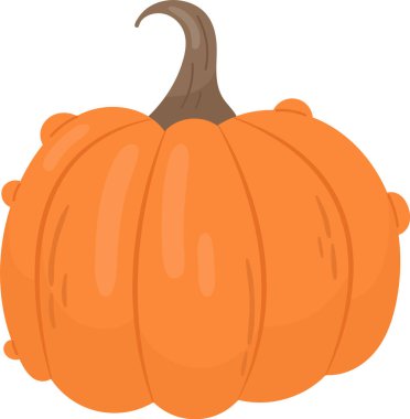 Balkabağı Sebze Olgun Vektör İllüstrasyonu