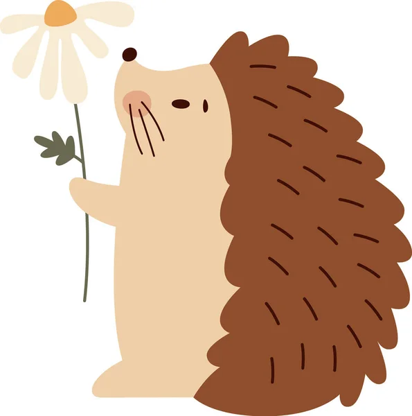 Hedgehog Chamomile Vector Illustration — Stock Vector