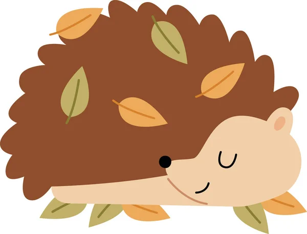 Hedgehog Animal Vector Sueño Ilustración — Vector de stock