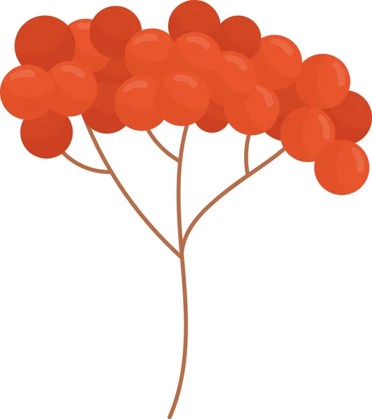 Branch Berries Vector Illustration — Vector de stoc