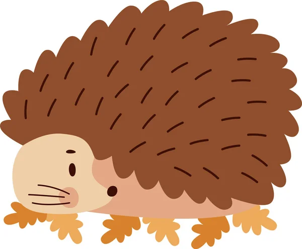 Hedgehog Lying Leaves Vector Illustration — Stock Vector