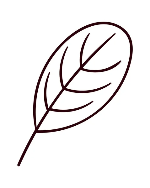 Floral Leaf Lined Vector Illustration — Stock Vector