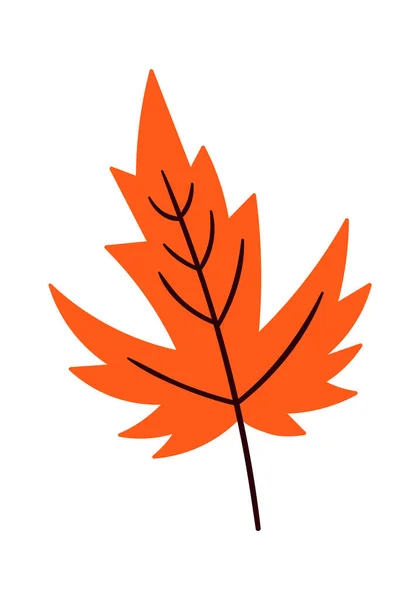 Podzimní Javorový List Vektorové Ilustrace — Stockový vektor