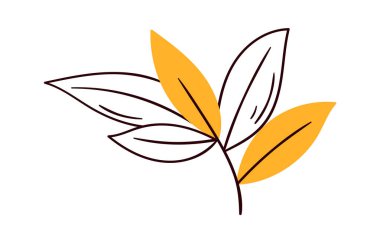 Şube yaprakları vektör çizim ile