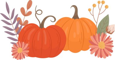 Çiçek Kabakları Beste Vektörü İllüstrasyonu