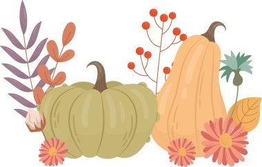 Çiçek Kabakları Beste Vektörü İllüstrasyonu