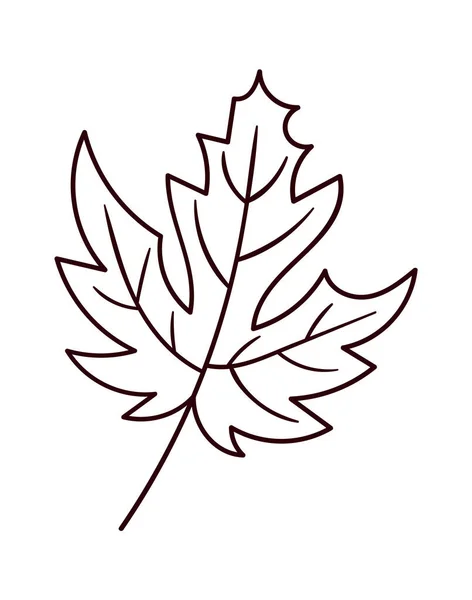 Maple Leaf Lined Vector Illustration — Stockový vektor