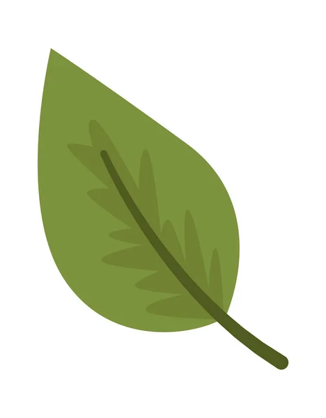 Floral Leaf Icon Vector Illustration — Vector de stoc