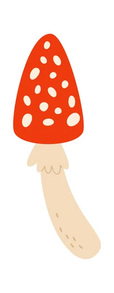 Fly Agaric Mushroom Vetor Ilustração — Vetor de Stock