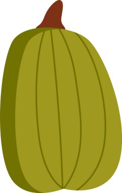 Balkabağı Sebze Olgun Vektör İllüstrasyonu