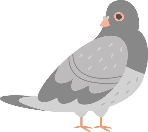 Pigeon Bird Standing Vector Illustration — Vetor de Stock