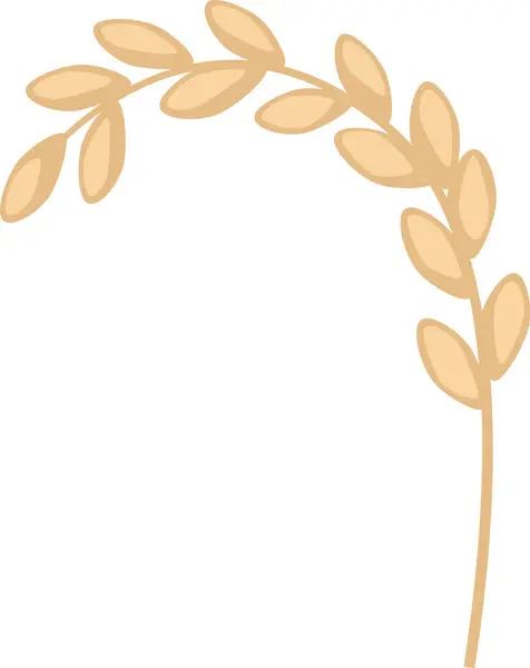 Ear Rice Vector Illustration - Stok Vektor